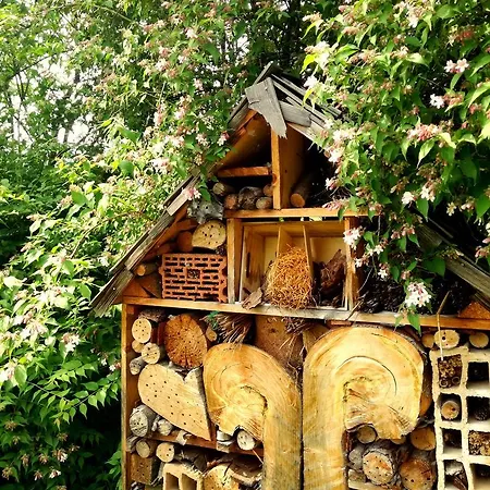 Hotel Brücklwirt Niklasdorf